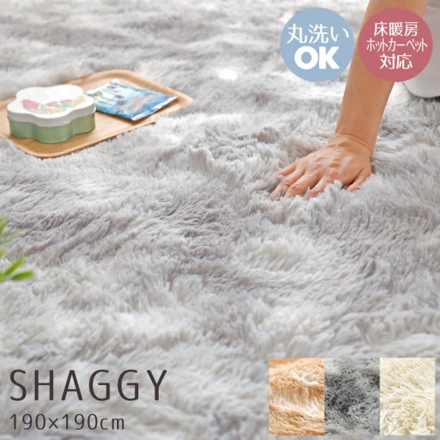 スプラッシュサラ