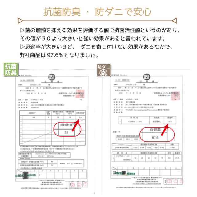 ライトキャスト