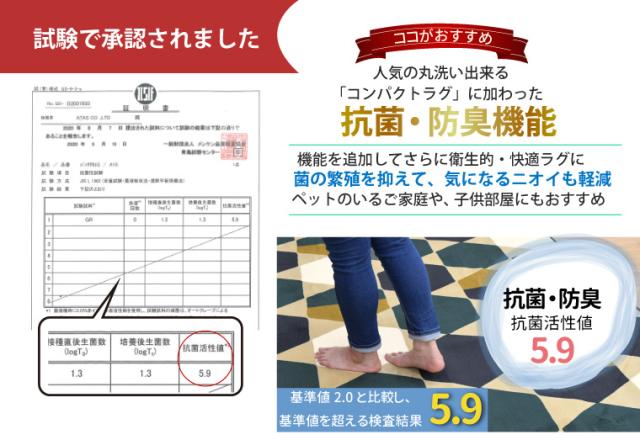 ハッチ抗菌ラグ