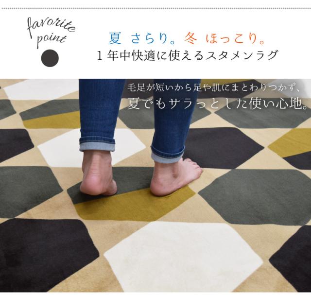 ハッチ抗菌ラグ