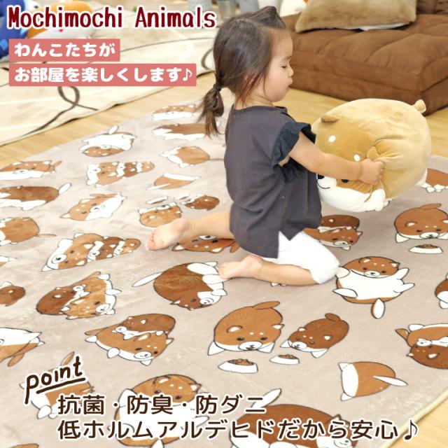 パティオ・ラナン・もちわん