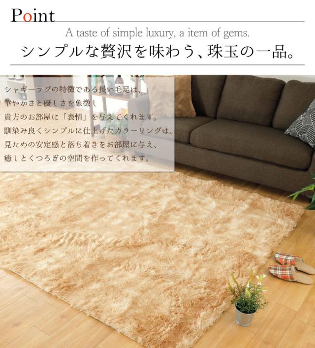 スプラッシュサラ