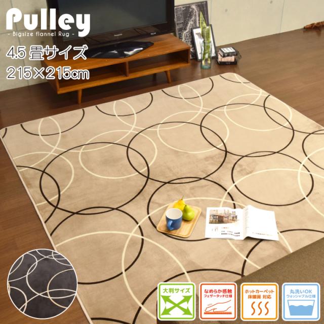 プーリー4.5畳
