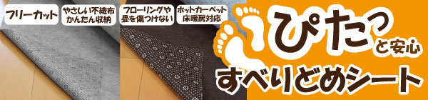 サイズ