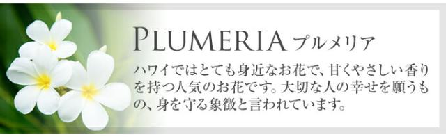 モチーフの意味 プルメリア