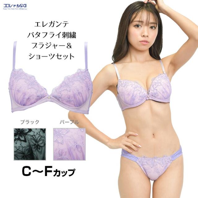 バタフライ刺繍 ブラショーツセット CDEFカップ