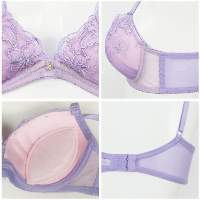 バタフライ刺繍 ブラショーツセット GHカップ