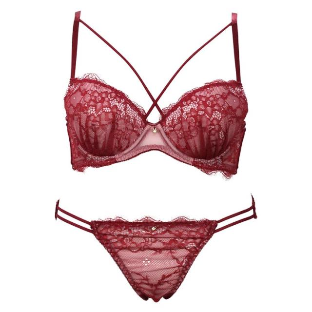 アイラッシュレース ブラショーツセット CDEFカップ