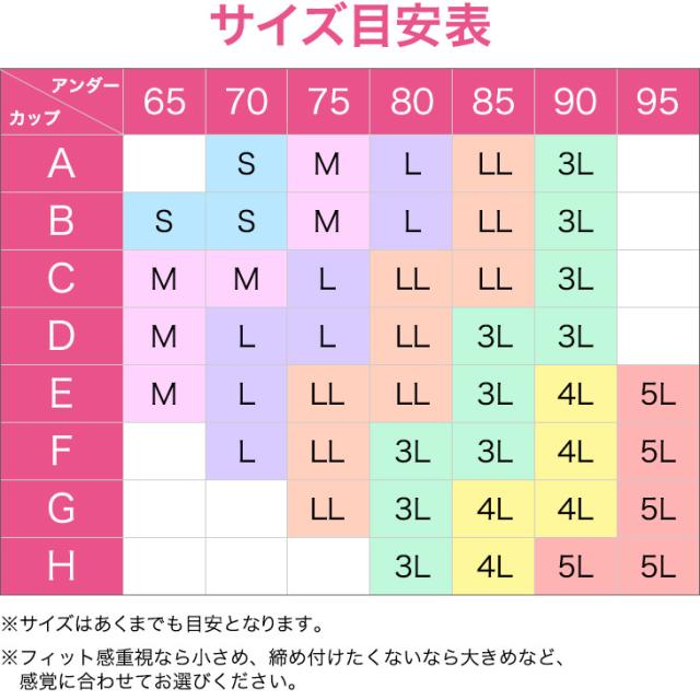 ノンワイヤー ブラショーツセット 大きいサイズ グラマーサイズ