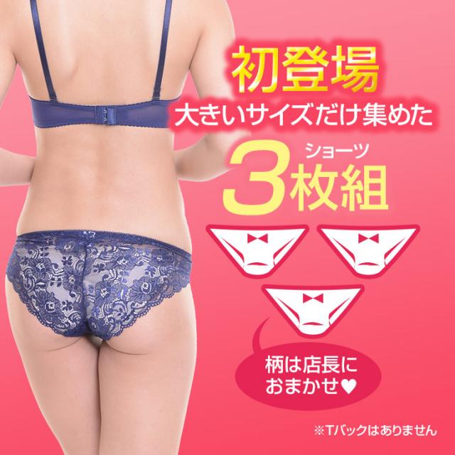 ショーツ 福袋 パンツ 大きいサイズ 下着 ランジェリー インナー フルバック スタンダード ヒップハング ボーイレッグ おまかせ セット SET レディース Ladies 女性 女子 ウィメンズ Womens ガールズ Girls