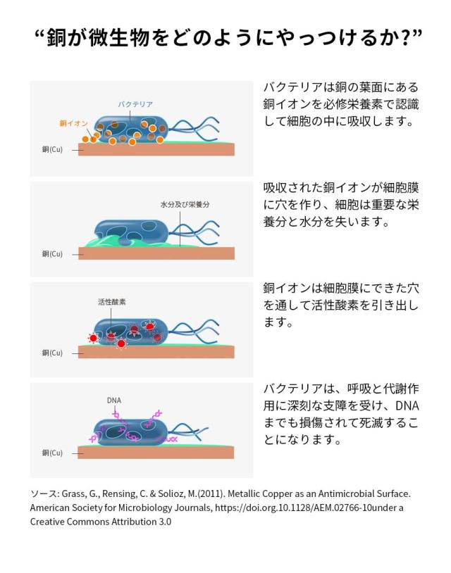 抗菌 銅 フィルム Cu 抗菌 シール A4 (1枚入り) 厚さ0.15mm 接触感染予防 エレベーター ボタン ドアノブ 机 タッチパネル