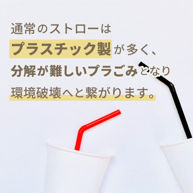 米ストロー 60本 (20本入×3箱セット) | お米でできたストロー エコ SDGs