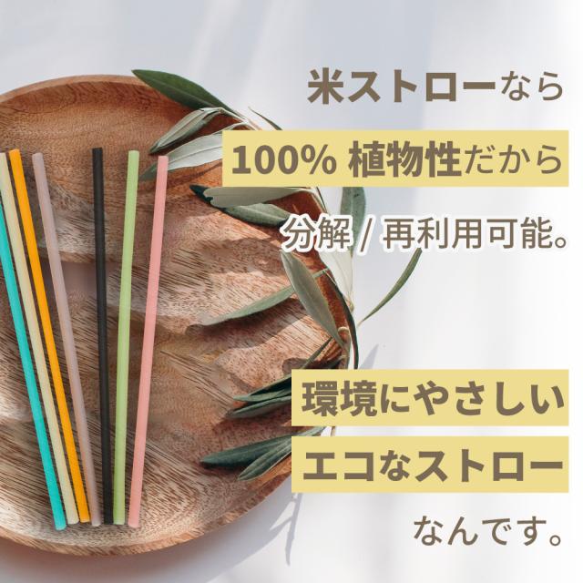 米ストロー 60本 (20本入×3箱セット) | お米でできたストロー エコ SDGs