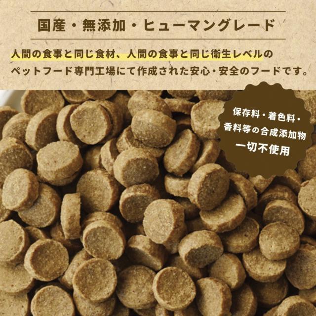 yumyumyum ドッグフード ドライ 犬用 馬肉 1.3kg