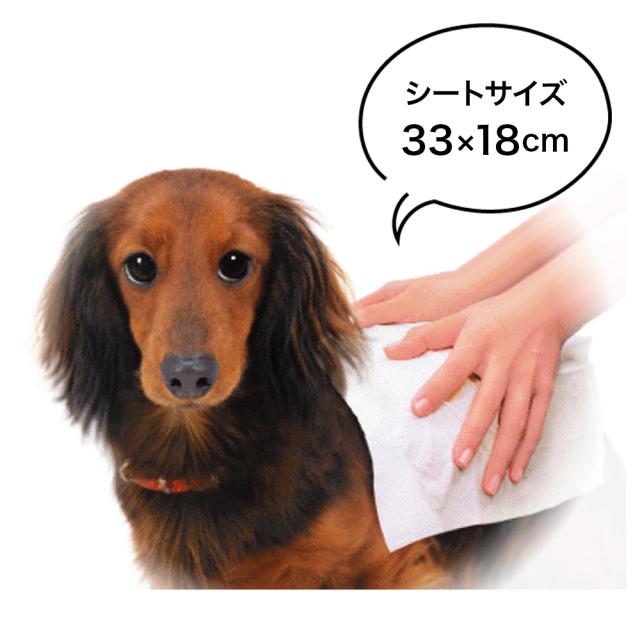 ペット ボディータオル 詰め替え用 3個セット お徳用 100枚入 × 3個 JOYPET