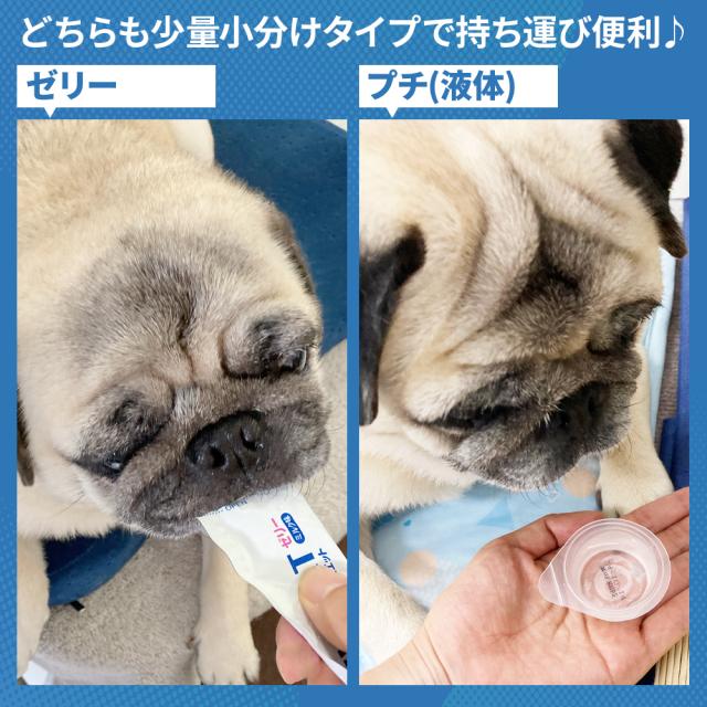 ペットスエットゼリー&プチ どちらも少量小分けタイプ絵持ち運び便利