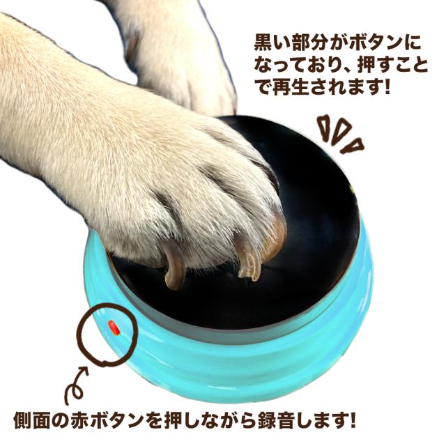 ペット おしゃべり ボタン 1個 録音 シングル | 喋る 知育玩具 わんちゃん hunger for words