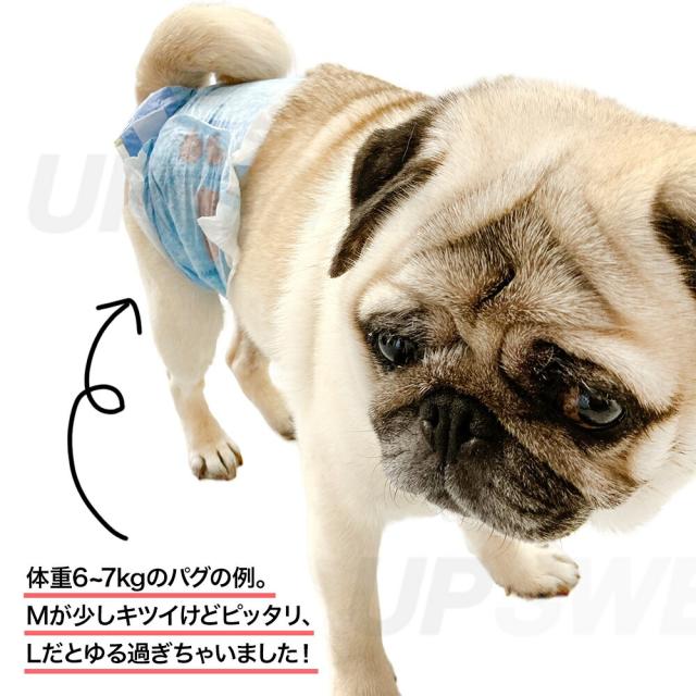 マナーウェア 男の子 犬 M L お試し 少量 サイズ確認 おむつ オムツ パグ 着用