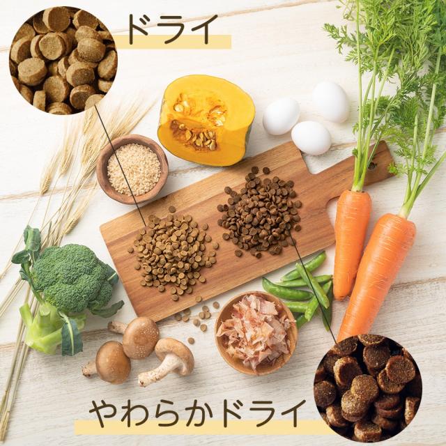 ドライ・やわらかドライ比較｜ペットフード yumyumyum