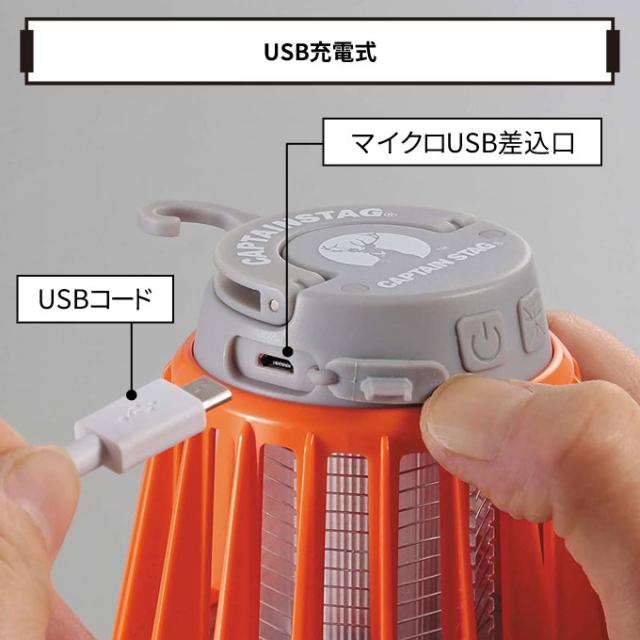 LEDバグランタン