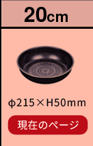 ルクスパン フライパン20cm