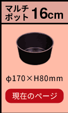 ルクスパン マルチポット16cm