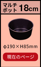 ルクスパン マルチポット18cm