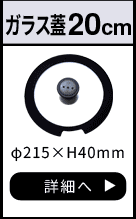 ルクスパン ガラス蓋20cm