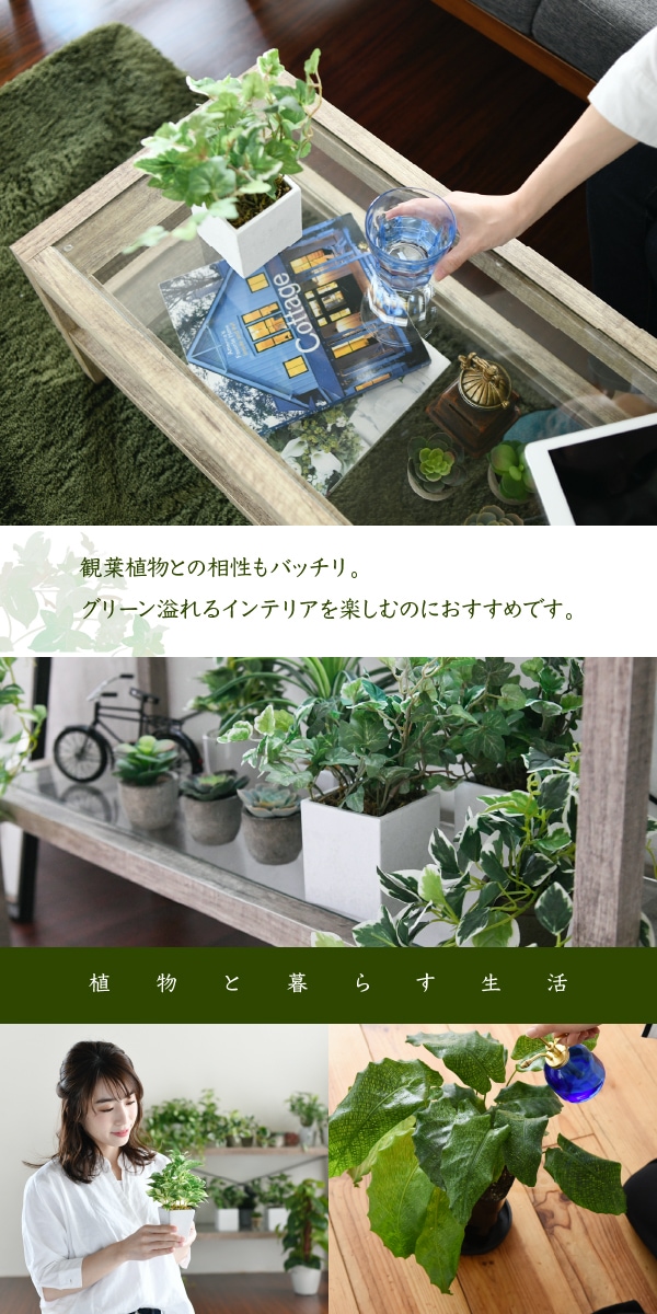 在庫限り Old Wood オールドウッド リビングテーブル 机 テーブル センターテーブル コンパクト 1人暮らし ガラス天板 カントリー ナチュラル カ 超特価激安 Karanipoolservices Com