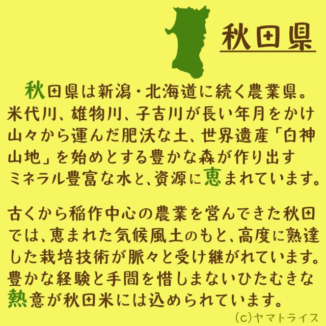 秋田県
