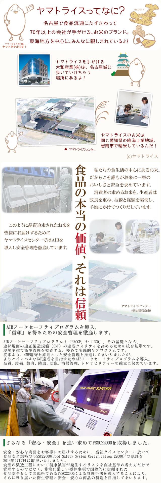 ヤマトライスセット