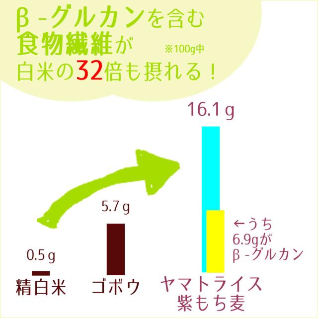 紫もち麦 水溶性食物繊維