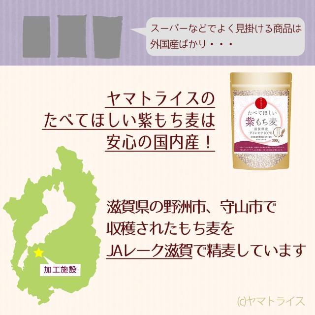 紫もち麦は国産です