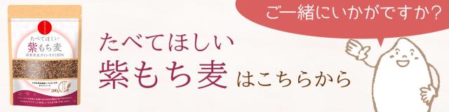 紫もち麦