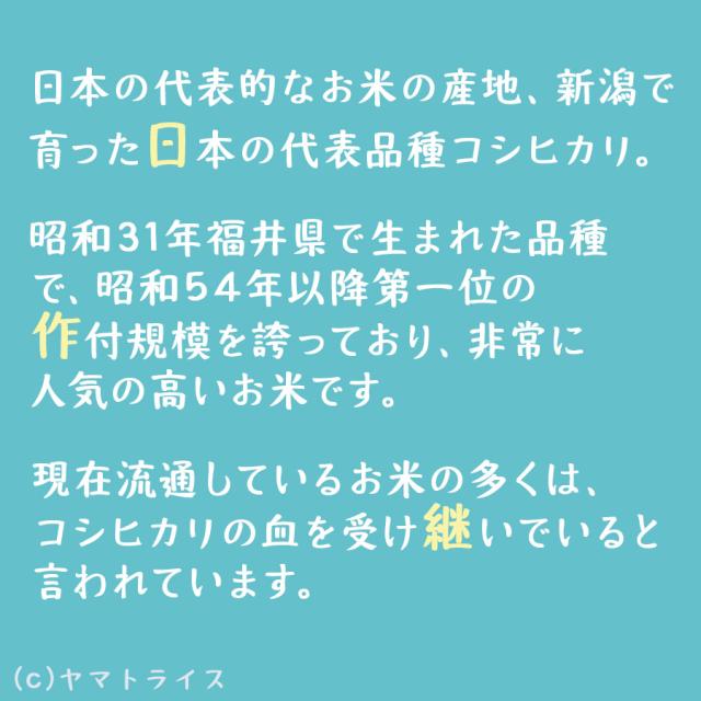新潟県産コシヒカリ