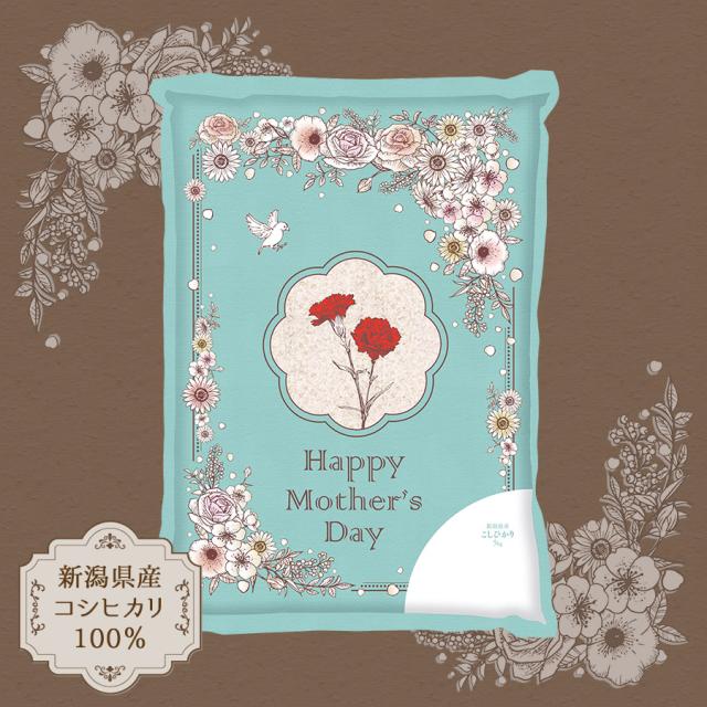 母の日コシ1
