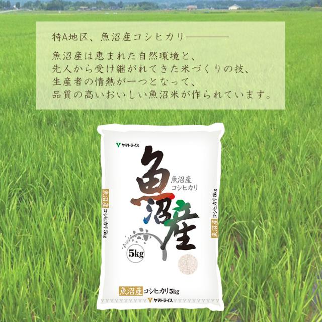 魚沼産コシヒカリ