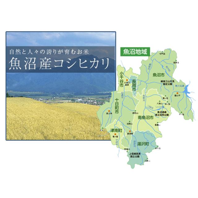 魚沼産コシヒカリ