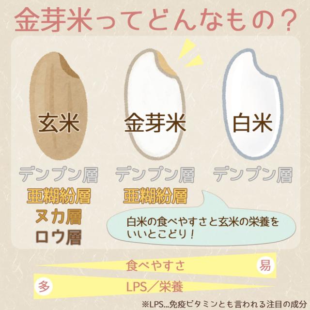 タニタの金芽米