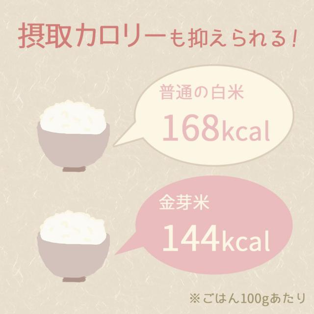 タニタの金芽米