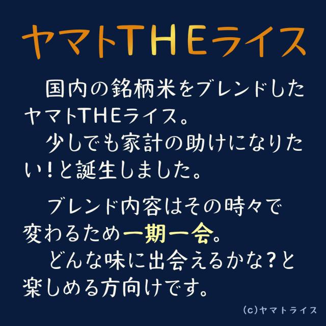 ヤマトザライス