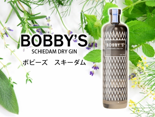 ボビーズ スキーダム