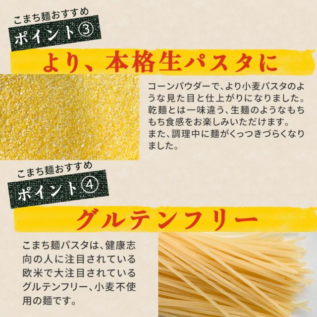 こまち麺パスタ1