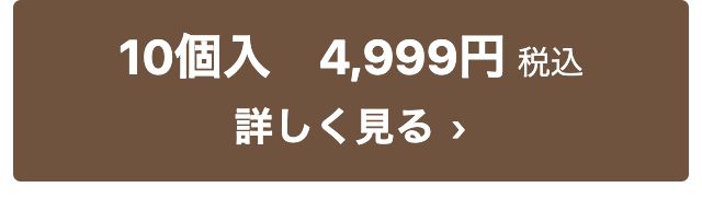10個入 4,999円税込