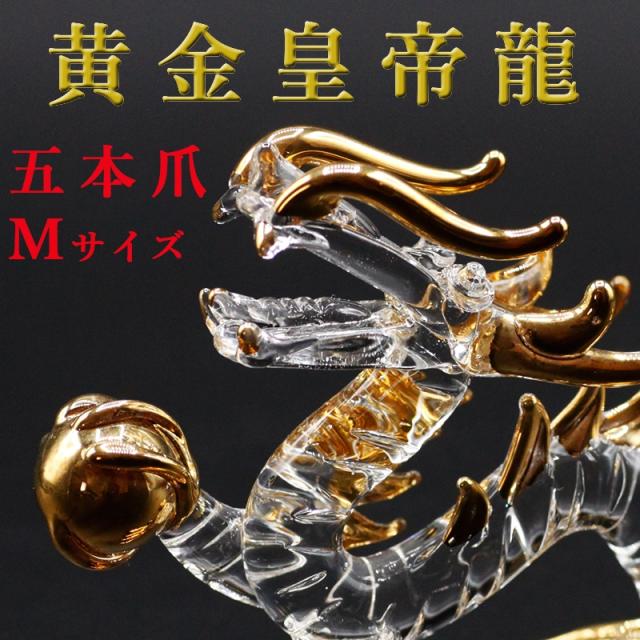 金龍、願い龍、ドラゴン