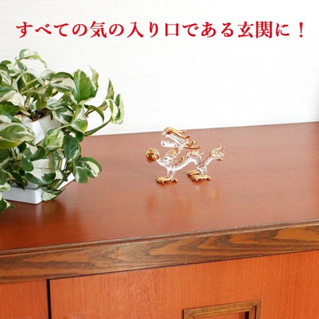 金龍、願い龍、ドラゴン