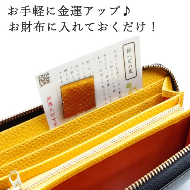 ニシキヘビの皮