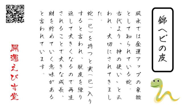 ニシキヘビの皮