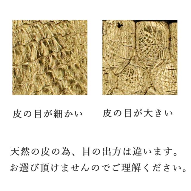 ニシキヘビの皮