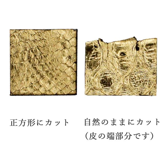 ニシキヘビの皮